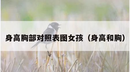 身高胸部對(duì)照表圖女孩（身高和胸）