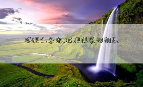 減肥俱樂部,減肥俱樂部加盟
