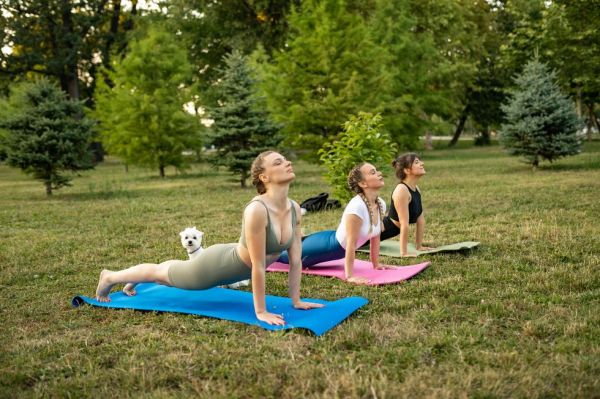 female friends practicing yoga and doing upward facing dog exercise at public park