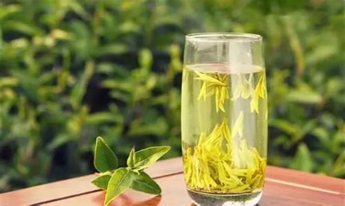 綠茶的沖泡時(shí)間.jpg