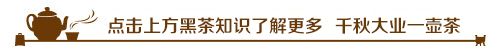 關(guān)注.gif