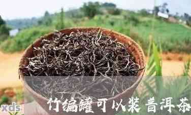 用竹罐装普洱茶好？优缺点全解析视频