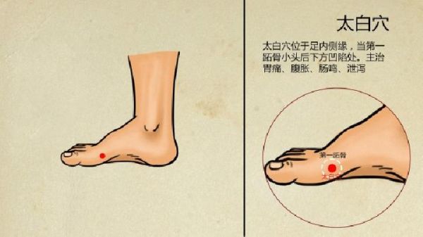 常见的中医减肥汤药有哪些
