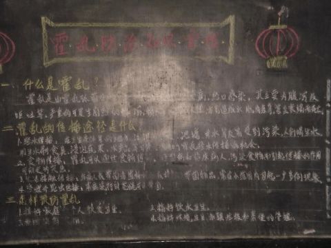 預(yù)防腸道傳染病宣傳總結(jié)