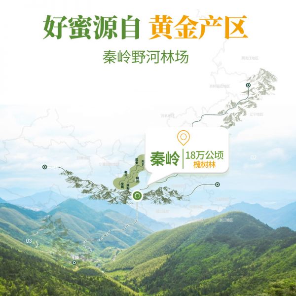 【9xhd.com蜂蜜14】蜂蜜蒸雞蛋有什么效果:汪氏蜂蜜產(chǎn)自秦嶺產(chǎn)區(qū)洋槐蜜天然純蜂蜜便攜擠壓瓶305g*23262