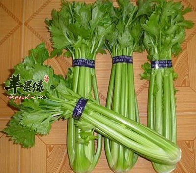 連莖帶葉的西芹.jpg