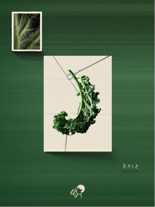 國際化飲品加持健康主題，喜茶「超級植物茶」再上新