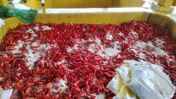 花椒泡水過程示意圖