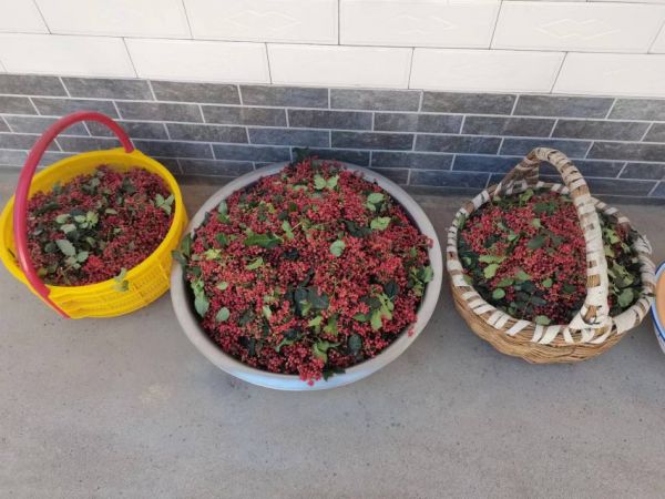 花椒泡水成品圖