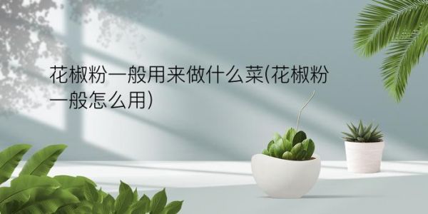 花椒粉一般用來做什么菜(花椒粉一般怎么用)