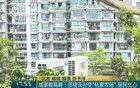 滬一業(yè)主退休后閑不住,樓頂"開墾"150㎡空中農(nóng)場(chǎng)