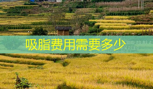 吸脂費用需要多少-第1張圖片-美唄嚴選網(wǎng)