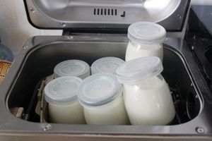 [轉載]輕松自制健康酸奶