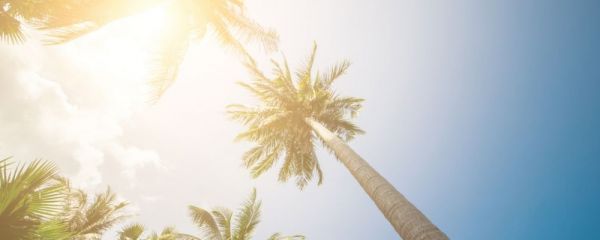 2025年的第100天是幾號 2025年的第100天是哪一天