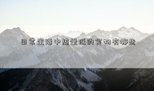 日常生活中熱量低的食物有哪些