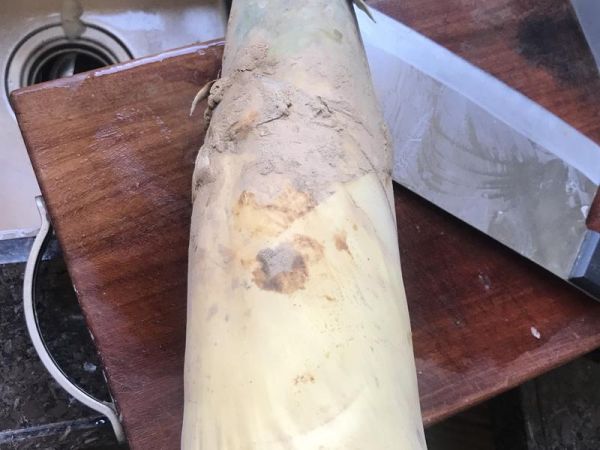 純奶手撕吐司的做法 步驟1