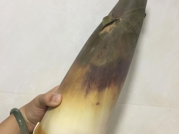 純奶手撕吐司的做法 步驟1