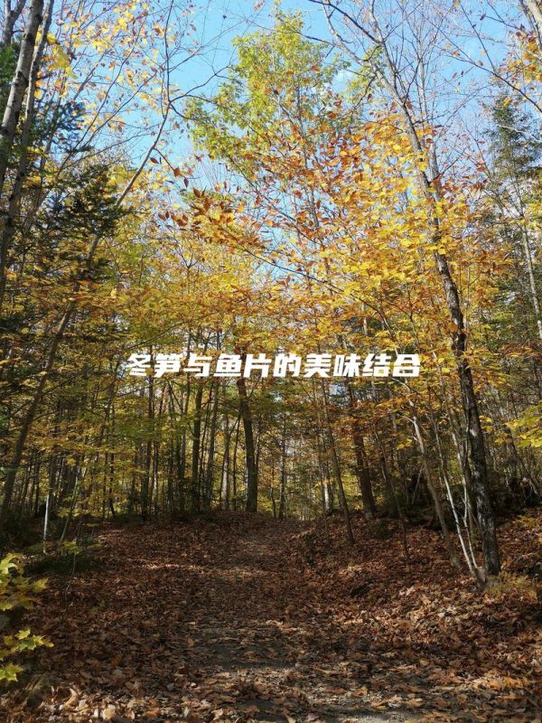 冬筍與魚片的美味結(jié)合