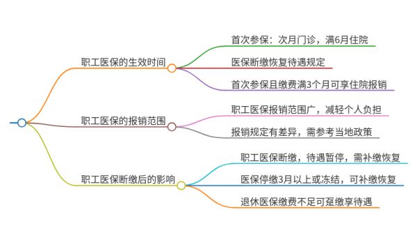 职工基本医疗保险交多久可以用