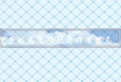 烤橙子的藥用功效與作用禁忌