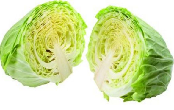 卷心菜