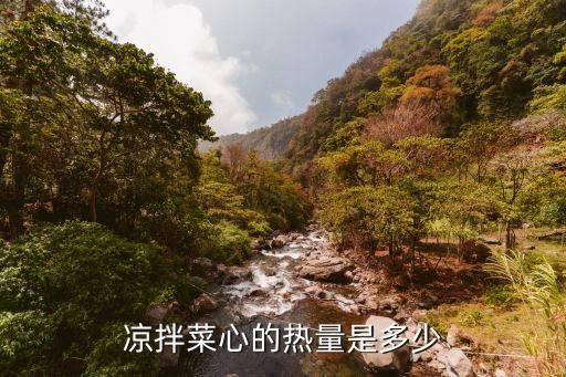 凉拌菜心的热量是多少