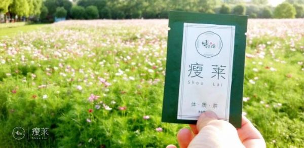 博醫(yī)源產后瘦身，教你不做胖媽媽——對話南京中醫(yī)藥大學鹿競文老師