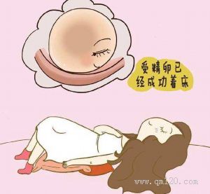 蛋白質(zhì)含量高的食物排行榜是怎么樣的