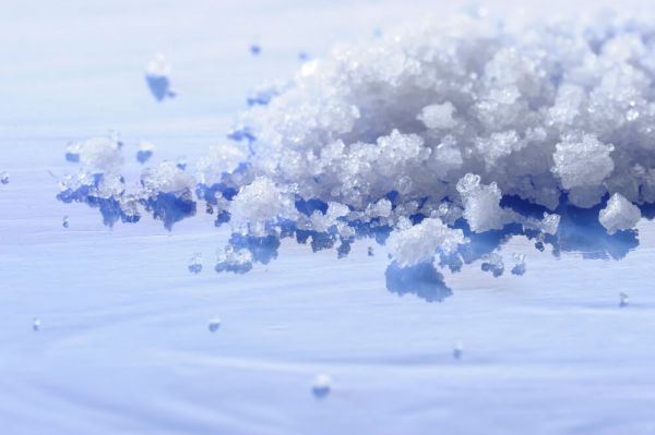 炭水化物が少ない食べ物?食品ランキング TOP100