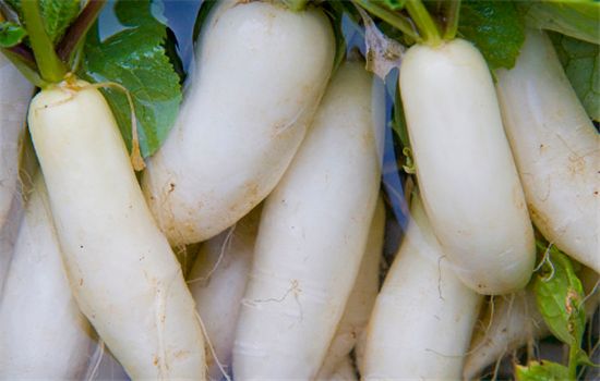 吃萝卜有哪些好处