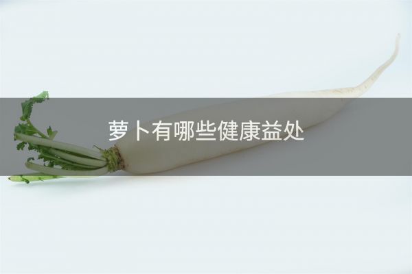 蘿卜有哪些健康益處