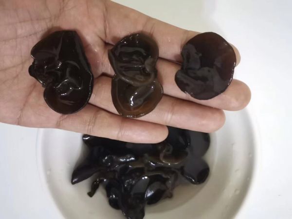 毛木耳泡發(fā)步驟示意圖