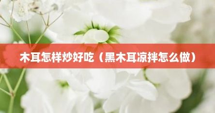 木耳怎樣炒好吃（黑木耳涼拌怎么做）