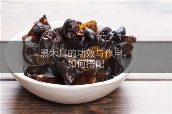 黑木耳的功效與作用,如何搭配