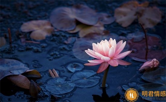 調節(jié)情緒的方法：幽默調節(jié)法