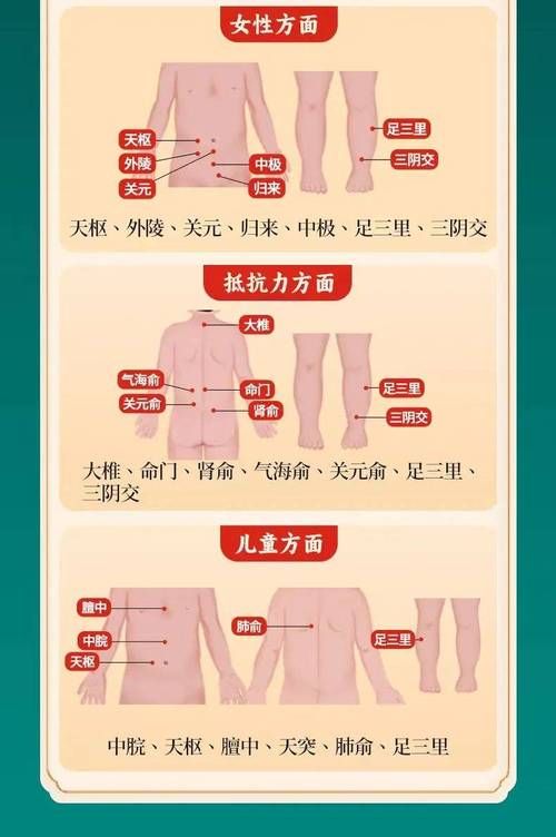 經(jīng)絡(luò)塑身貼貼哪里（瘦身貼貼哪個(gè)部位）
