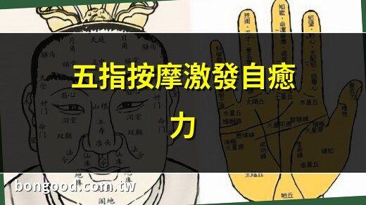 手指代表的器官