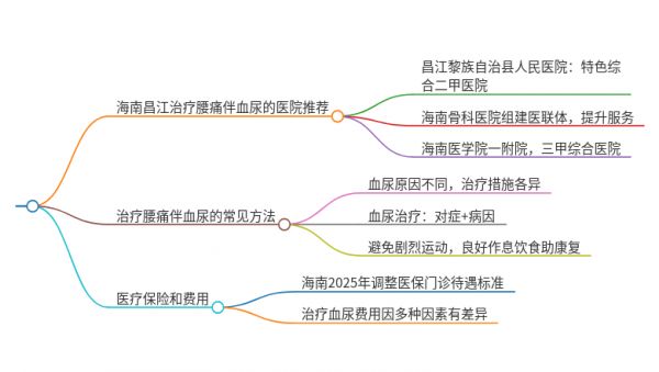 2025年海南昌江治療腰痛伴血尿的醫(yī)院有哪些