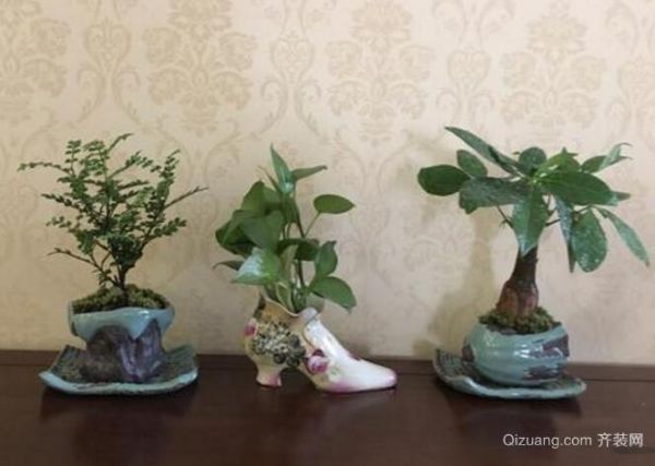 辦公室綠植擺放效果圖