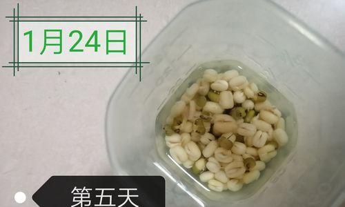 綠豆的生長與生態(tài)環(huán)境（探究綠豆生長的特點和最適宜的生態(tài)環(huán)境）