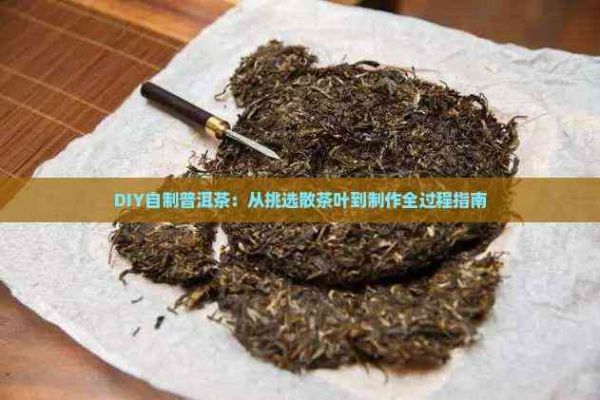 DIY自制普洱茶：從挑選散茶葉到制作全過程指南