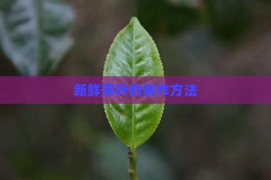 新鮮茶葉的制作方法