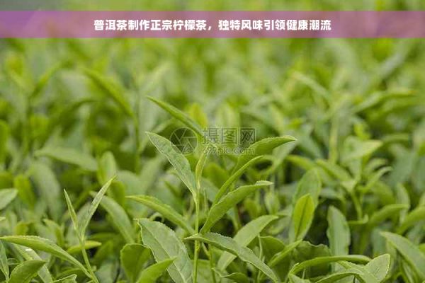 普洱茶制作正宗檸檬茶，獨(dú)特風(fēng)味引領(lǐng)健康潮流