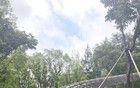 大暑=燒烤模式？上海：今年不按這個劇本走了