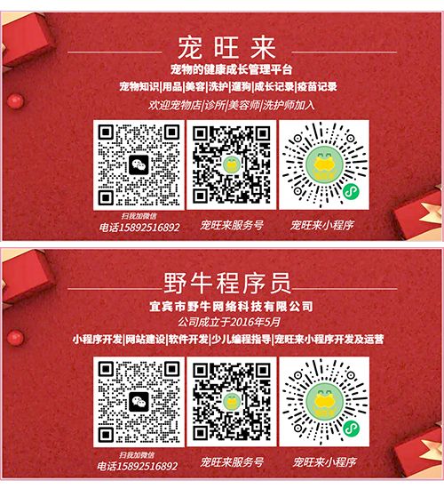 野牛程序員教少兒編程與信息學(xué)競(jìng)賽-微信|電話(huà)：15892516892