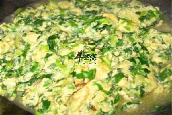 魚腥草炒雞蛋.jpg