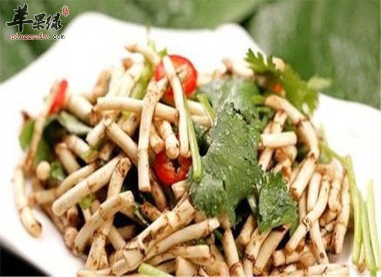魚(yú)腥草怎么吃 推薦兩款魚(yú)腥草藥膳