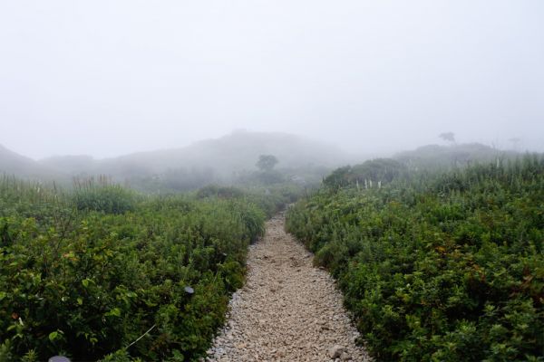 【要注意】登山は誰もが健康によいわけではない
