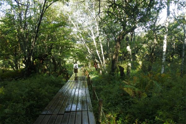 健康的な登山をするには、自分に合った計畫を立てよう