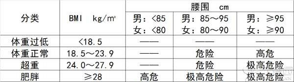 脂肪.jpg